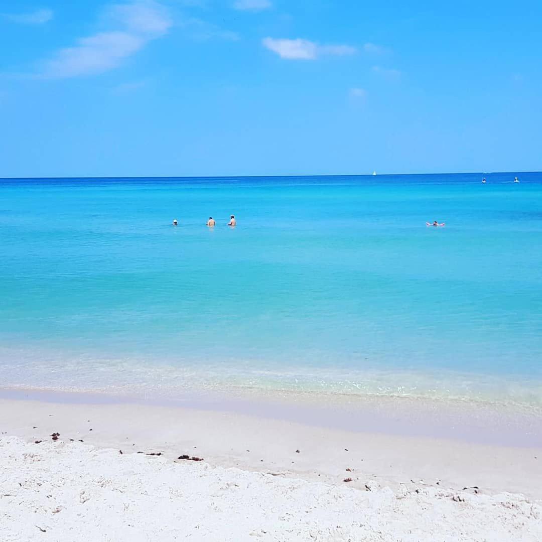 Miami Hollywood Condo 2Bd With Ocean View 005-21Mar Bagian luar foto